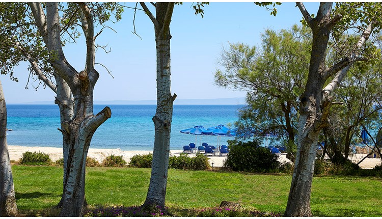 Theophano Imperial Palace - NR, Халкидики